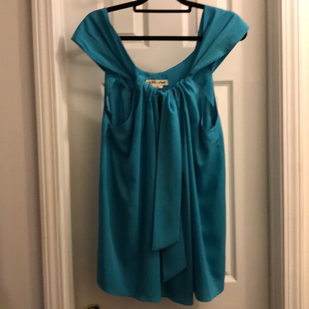 Lili’s Closet blue top